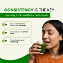 moringa-leaf-powder-boosts-energy-and-im-71LOGCfuDAL.jpg