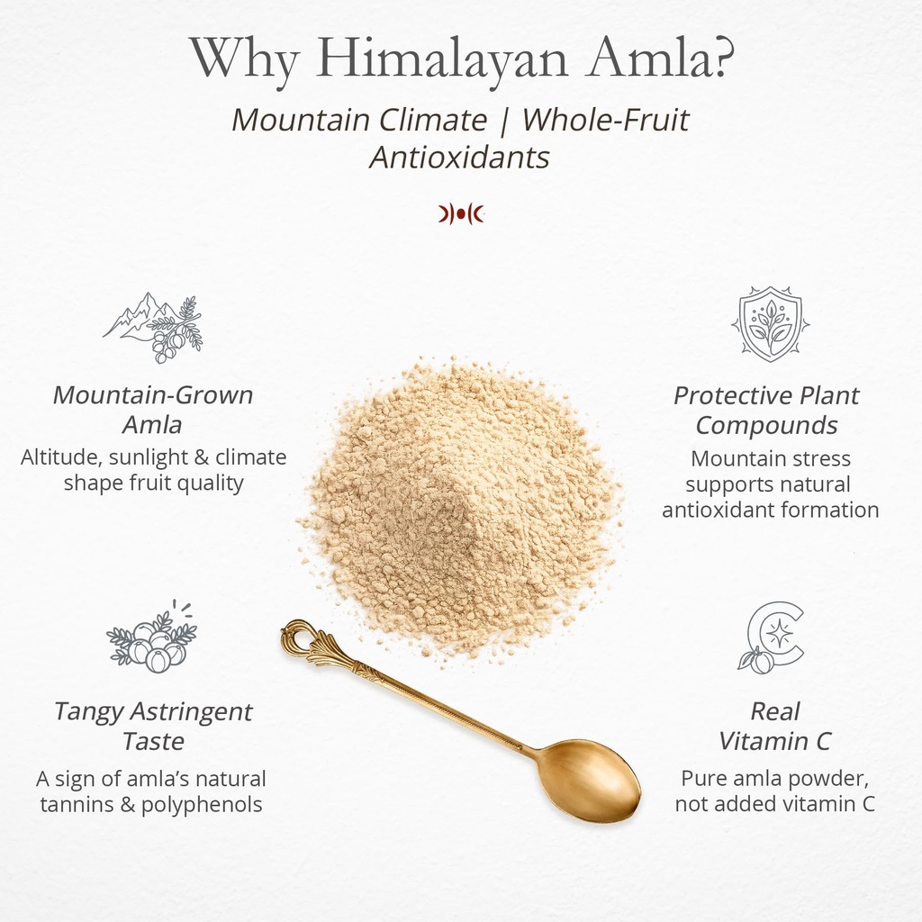 ayantara-himalayan-amla-powder-80g-100-o-71HJHZVqcDL.jpg