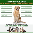 probiotics-for-dogs---digestive-health-g-2.jpg