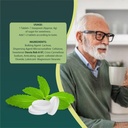 zindagi-stevia-sugar-free-tablets-natura-71s33AvJGPL.jpg