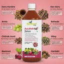 ayumcure-ayuraktup-juice-1l-ayurvedic-bl-81Jq3l30rPL.jpg
