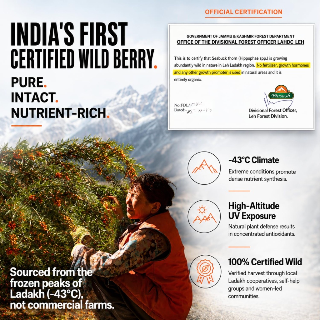 biosash-himalayan-sea-buckthorn-pulp-con-818xLn3CJML.jpg