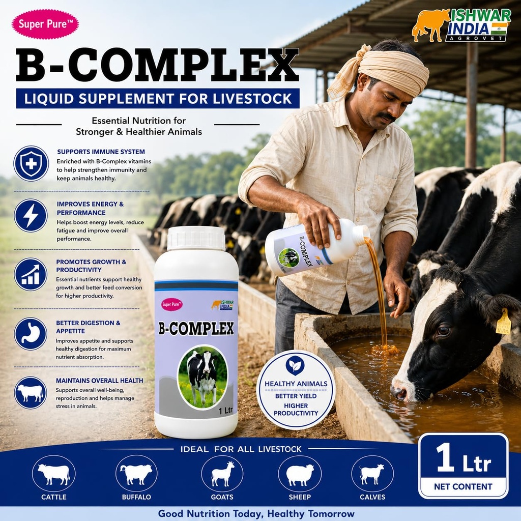 b-complex-vitamin-b-vitamin-b-tonic-for--71ZYDrZBuaL.jpg