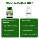vlado-s-himalayan-organics-vitamin-b12-t-61omVg-c4YL.jpg