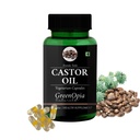 ginkgo-biloba-vegetarian-capsules-castor-61aOxUTe8aL.jpg