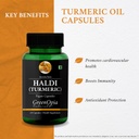 haldi-oil-vegetarian-capsules-ease-spaz--61g9ErbRsHL.jpg