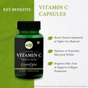 haldi-oil-vitamin-c-wellness-daily-vital-61kPS7HYnhL.jpg
