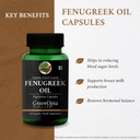 nutritional-meal-shake-chocolate-fenugre-61UlBREwBqL.jpg