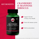 cranberry-d-mannose-hibiscus-capsules-be-61LBqx0yGoL.jpg