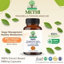 one-tree-by-herbal-homes-methi-fenugreek-61-auVseafL.jpg