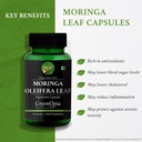 moringa-oleifera-powder-nutritional-meal-61k3vWAxvuL.jpg