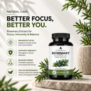 rosemary-leaf-supplement-capsules-veg-ca-71qnQtPdOvL.jpg