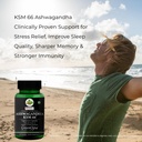 ashwagandha-ksm66-flax-seed-oil-wellness-71J7kXLMWcL.jpg
