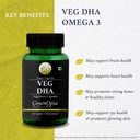 glucosamine-msm-tablets-veg-dha-wellness-61nRDEu2wTL.jpg