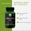 l-glutathione-reduced-moringa-seed-oil-w-61D7eLvryYL.jpg