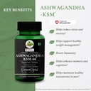 ashwagandha-ksm66-magnesium-glycinate-fo-61bSrFsQE6L.jpg