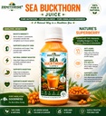 sea-buckthorn-juice-pure-himalayan-sea-b-71OVSvpIzDL.jpg