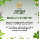 vlado-s-himalayan-organics-alfalfa-calci-71TJI5IEB9L.jpg