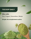 weight-reduction-mix-powder-with-moringa-61hGU52dI6L.jpg