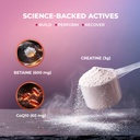wow-life-science-micronized-creatine-mon-617tDQjQ6zL.jpg