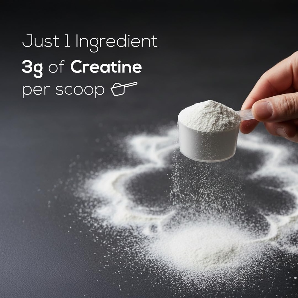 muscle-asylum-creatine-monohydrate-powde-61kl1Y7XIQL.jpg