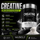 muscle-asylum-creatine-monohydrate-powde-71XhVza7HkL.jpg