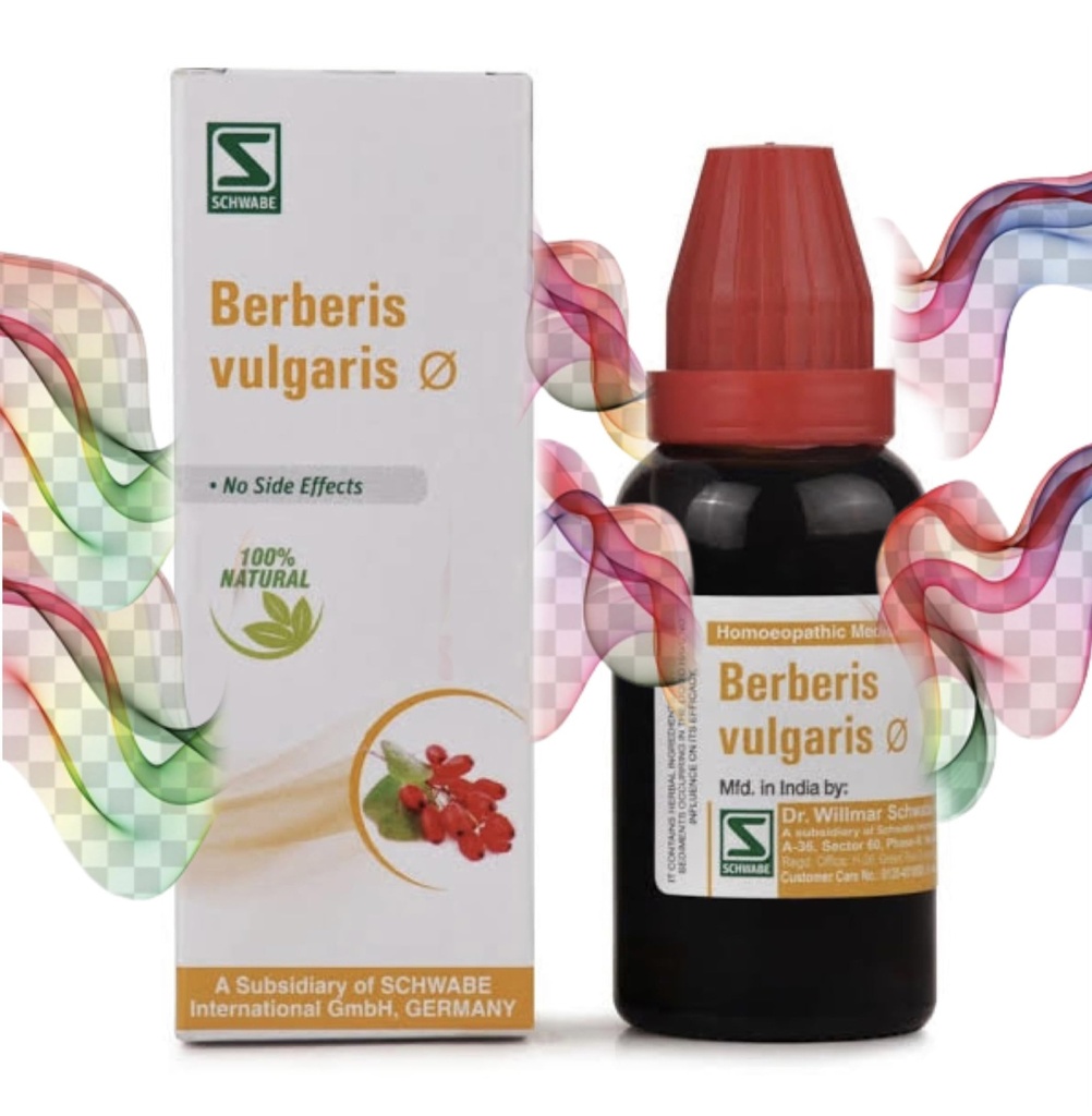dr-willmar-schwabe-berberis-vulgaris-mot-712Ln6UPJZL.jpg