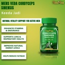 cordyceps-sinensis-keeda-jadi-500mg-supp-61sabikNDJL.jpg