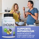 premium-choline---500-mg---120-veggie-ca-4.jpg