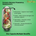resveratrol-560mg-supplement-with-fiseti-817tyrZTCAL.jpg