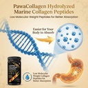 marine-collagen-supplement-10-000-mg-hyd-8147AsDIPtL.jpg