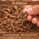 nagarmotha-root-100gm-raw-nagarmotha-cyp-71khG+I0loL.jpg