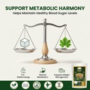 biotic-organic-karela-powder-eating-bitt-61tsk7JZ4IL.jpg