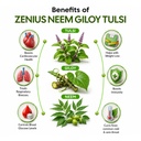 zenius-neem-giloy-tulsi-drop-immunity-bo-61M4Nl-HenL.jpg