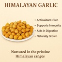 organic-bites-kashmiri-garlic-natural-si-61VuPJ1qu9L.jpg