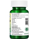 morpheme-remedies-phyllanthus-niruri-bhu-61+kw6wFG5L.jpg