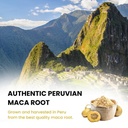 rooted-active-s-organic-maca-root-powder-71dH7Yu4UlL.jpg