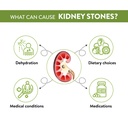 stonex-helps-to-detox-kidney-cleanse-pur-61Alds3kWlL.jpg