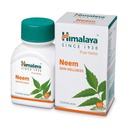 himalaya-wellness-pure-herbs-karela-meta-61vrqywBOBL.jpg