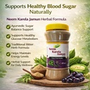 herbals-neem-karela-jamun-powder-maintai-711UnLsCaML.jpg