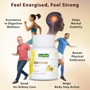 jeena-sikho-gokshura-tablet-natural-ayur-710nQM3llUL.jpg