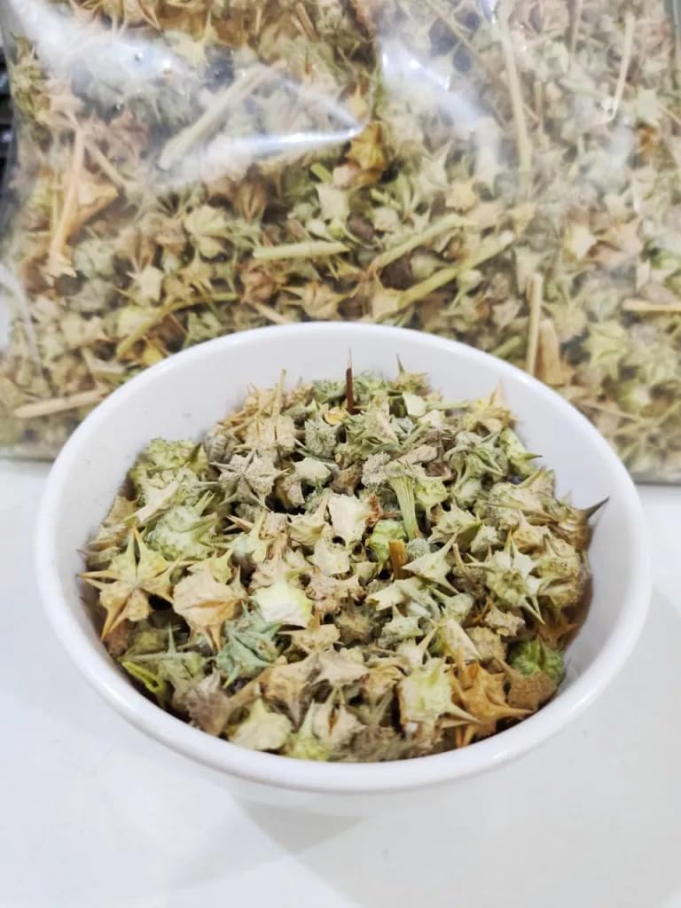 natural-gokhru-chota-tribulus-terrestris-61dTDk9e+FL.jpg