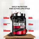 bigmuscles-nutrition-essential-whey-max--61Qn0IC2swL.jpg