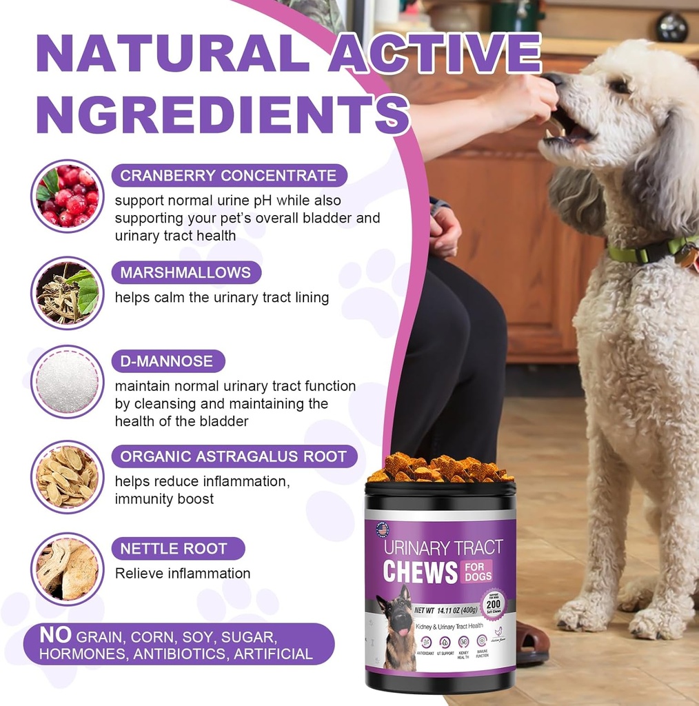 dog-uti-treatment-cranberry-supplement-f-4.jpg