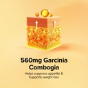 gnc-100-whey-keto-surge-india-s-first-fa-61cnq+Y4CGL.jpg