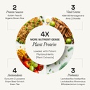 ace-blend-daily-20g-plant-protein-30-ser-61Q85+lxghL.jpg