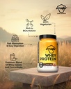avvatar-whey-protein-1kg-caramel-cr-me-f-81TuhudmtIL.jpg