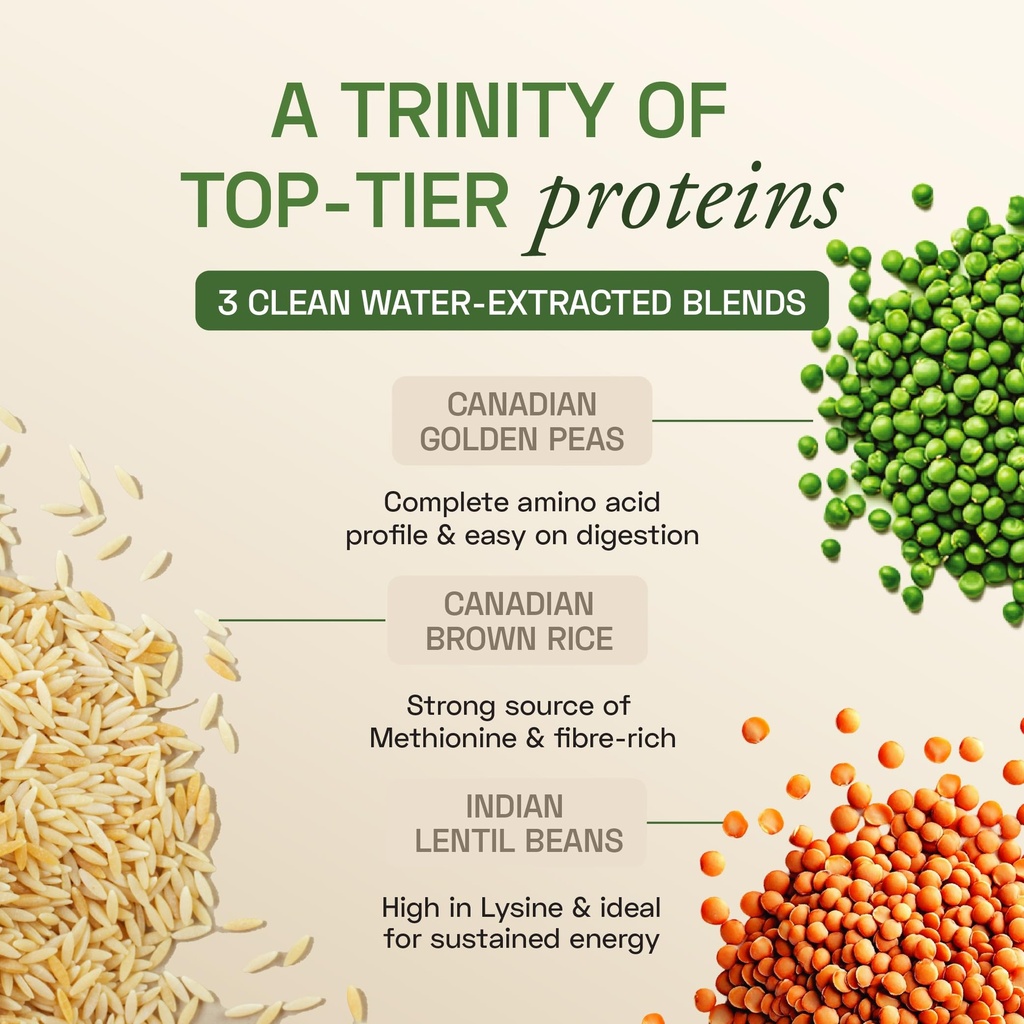 ace-blend-unflavoured-plant-protein-trip-81OirBwYwRL.jpg