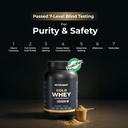 nutrabay-gold-whey-protein-concentrate-w-719PUxj32eL.jpg