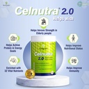 nucgnex-celnutra-2-0-advanced-recovery-n-61ndkQgO3AL.jpg